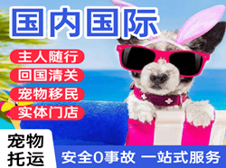 呼伦贝尔航空快运国际宠物托运 【国
